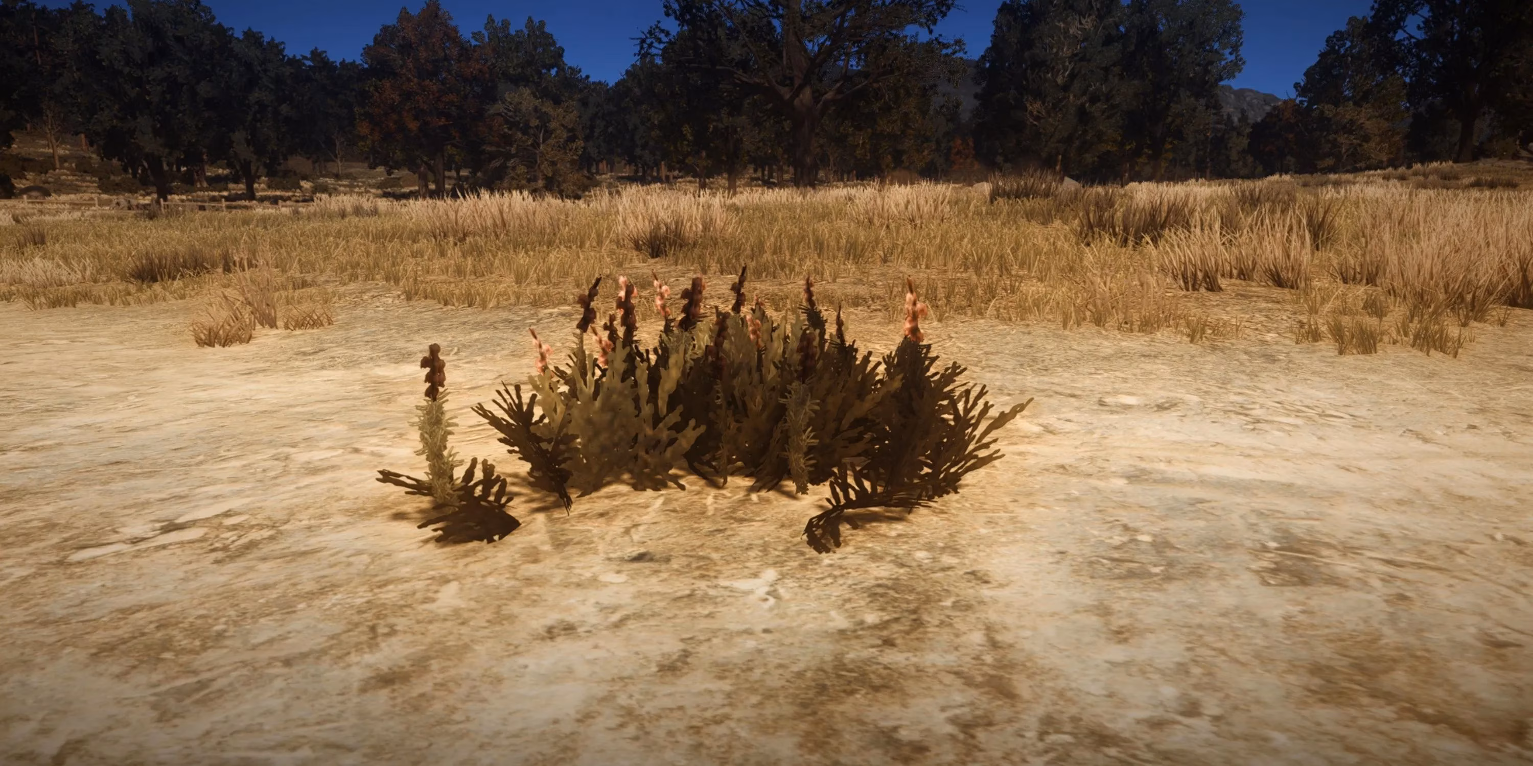 my-epic-survivalist-challenge-journey-in-red-dead-redemption-image-2