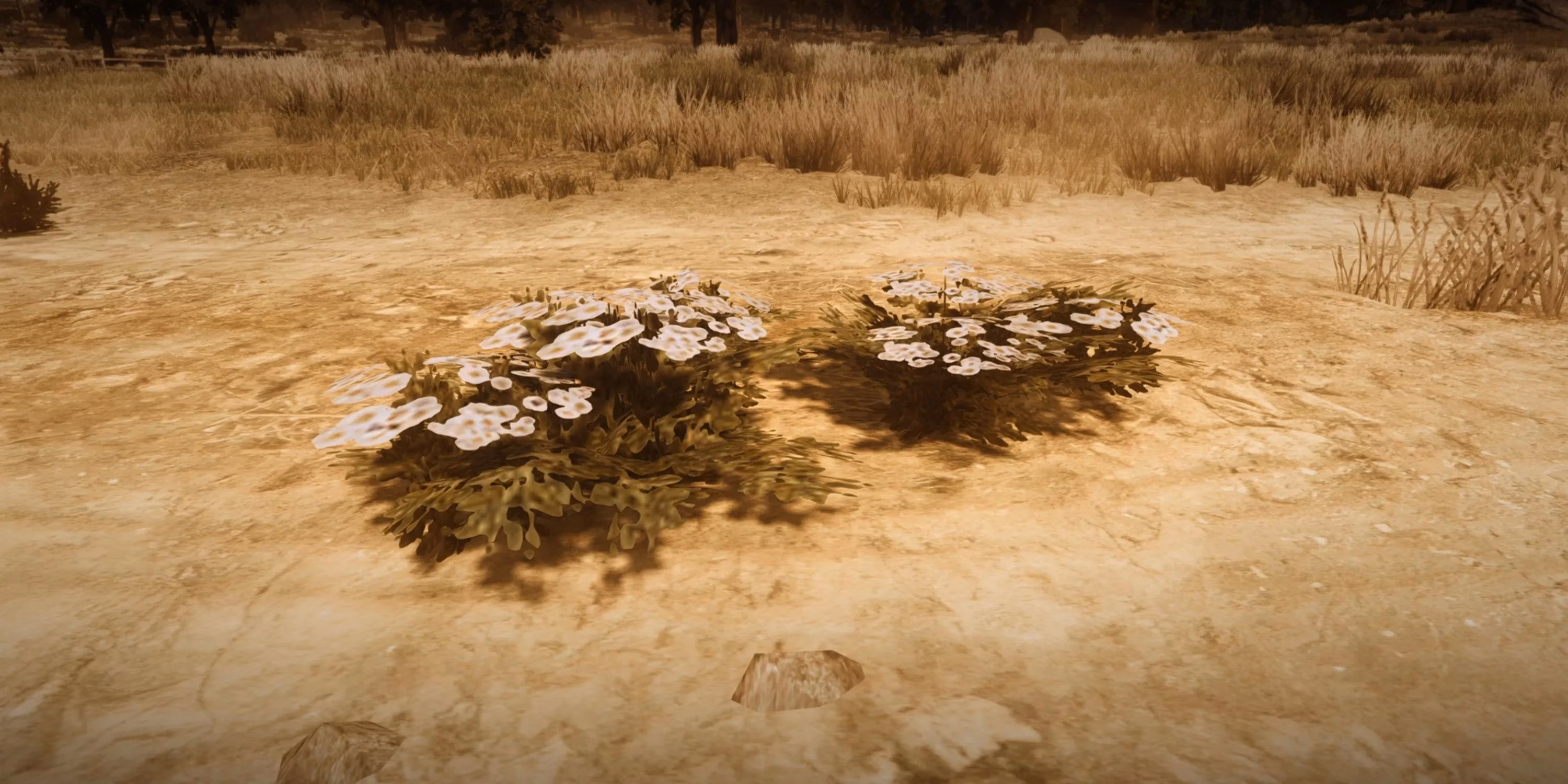 my-epic-survivalist-challenge-journey-in-red-dead-redemption-image-0