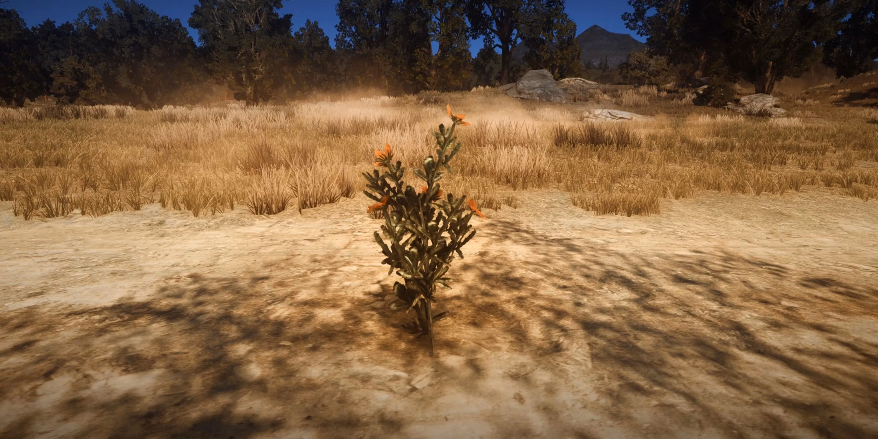 my-epic-survivalist-challenge-journey-in-red-dead-redemption-image-5