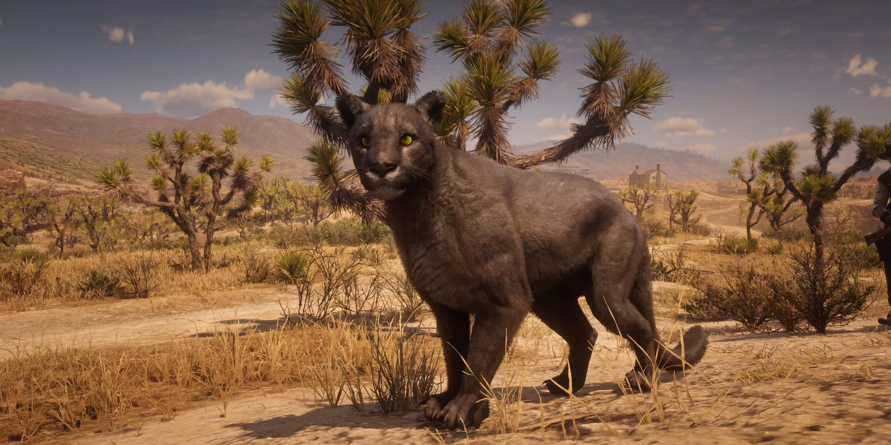 my-personal-journey-hunting-red-dead-redemption-2-s-most-challenging-animals-image-5