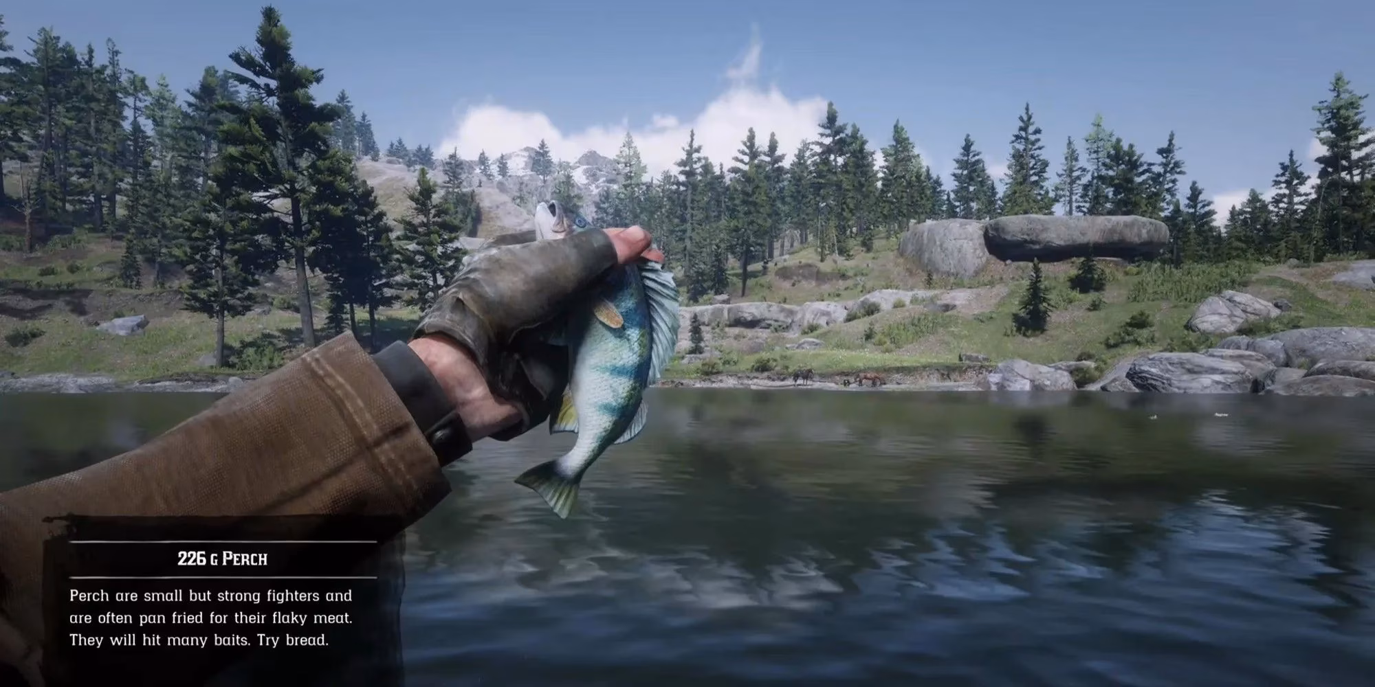 10-heartbreaking-ways-to-say-goodbye-to-arthur-in-rdr2-i-cried-image-3